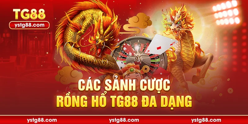 Rồng hổ TG88 – Trải nghiệm game bài đỉnh cao nhất 2026 3 Các sảnh cược Rồng hổ TG88 đa dạng